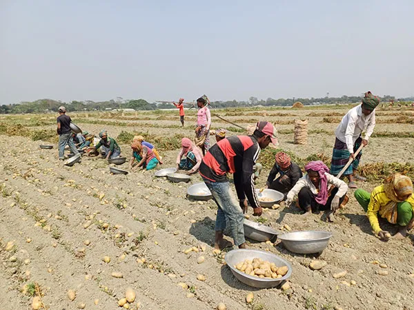 Agriculture & Food Security